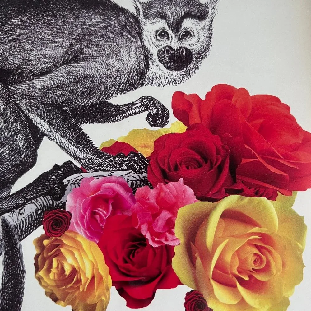 Urban Outfitters Framed Art - Picture 2 of 8